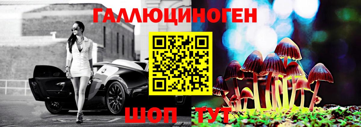 Галлюциногенные грибы Psilocybe Асбест